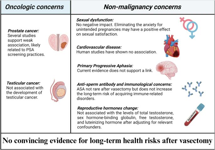 IJIR: Your Sexual Medicine Journal (@yoursexmedjour) on Twitter photo The review of the long-term health risks associated with #vasectomy 👉 nature.com/articles/s4144…
<a href="/NCKU_official/">National Cheng Kung University</a> <a href="/StanfordUrology/">Stanford Urology</a> <a href="/TommyJiang_2023/">Tommy Jiang</a> <a href="/ashkanpal/">Ashkan Pourabhari Langroudi M.D.</a> <a href="/satvir_basran/">Satvir Basran</a> <a href="/DrMEisenberg/">Michael Eisenberg</a> The review of the long-term health risks associated with #vasectomy 👉 nature.com/articles/s4144…
<a href="/NCKU_official/">National Cheng Kung University</a> <a href="/StanfordUrology/">Stanford Urology</a> <a href="/TommyJiang_2023/">Tommy Jiang</a> <a href="/ashkanpal/">Ashkan Pourabhari Langroudi M.D.</a> <a href="/satvir_basran/">Satvir Basran</a> <a href="/DrMEisenberg/">Michael Eisenberg</a>