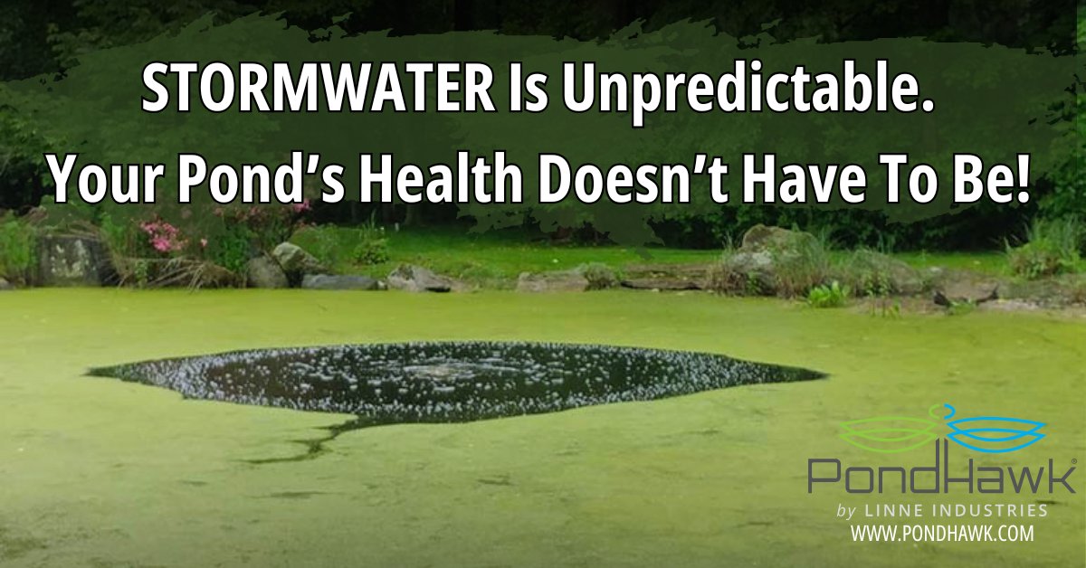 SolarPondHawk's tweet image. 𝗗𝗼𝗻’𝘁 𝗹𝗲𝘁 𝗦𝗧𝗢𝗥𝗠𝗪𝗔𝗧𝗘𝗥 𝘁𝗮𝗸𝗲 𝗼𝘃𝗲𝗿 𝘆𝗼𝘂𝗿 𝗽𝗼𝗻𝗱!  #StormwaterSolutions #pondaerators #greenkeeping #greenkeeper #golfmanagement #ngcoa #gcsaa #hoamanagement #golfcoursesuperintendent #stormwater #stormwatermanagement 
social.pondhawk.com/Wcu5