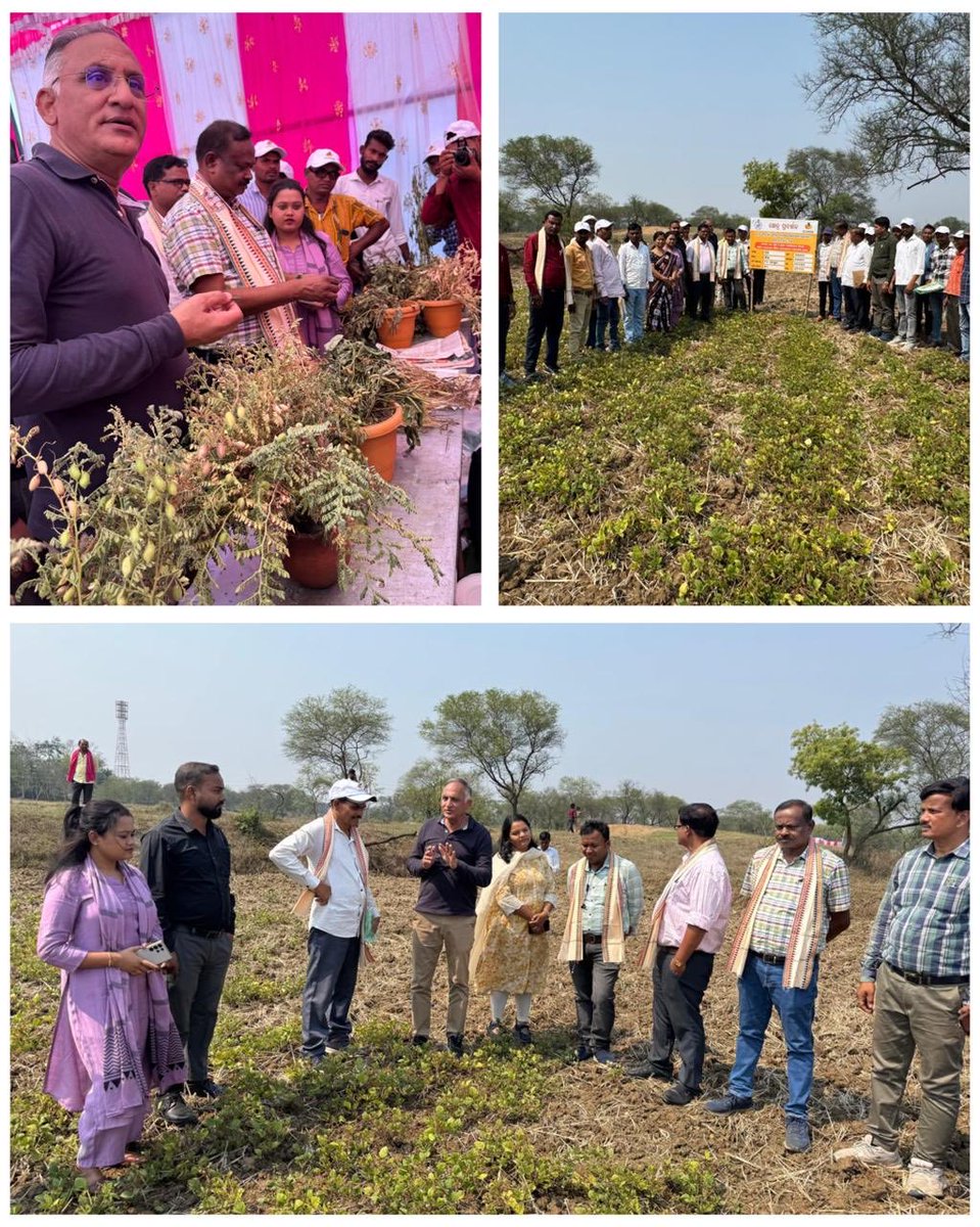Kishor Behera (@drkishorbehera) on Twitter photo Farmers’ Field Day organised by ICARDA in Nuapada district of Odisha under CRFM takes a pivotal role in dissemination of good agriculture practices towards better adaption <a href="/ShivKAgrawal/">Shiv Agrawal</a> <a href="/krushibibhag/">କୃଷି ବିଭାଗ, ଓଡ଼ିଶା</a> <a href="/arvindpadhee/">Arabinda K Padhee</a> <a href="/ICARDA/">ICARDA</a> Farmers’ Field Day organised by ICARDA in Nuapada district of Odisha under CRFM takes a pivotal role in dissemination of good agriculture practices towards better adaption <a href="/ShivKAgrawal/">Shiv Agrawal</a> <a href="/krushibibhag/">କୃଷି ବିଭାଗ, ଓଡ଼ିଶା</a> <a href="/arvindpadhee/">Arabinda K Padhee</a> <a href="/ICARDA/">ICARDA</a>
