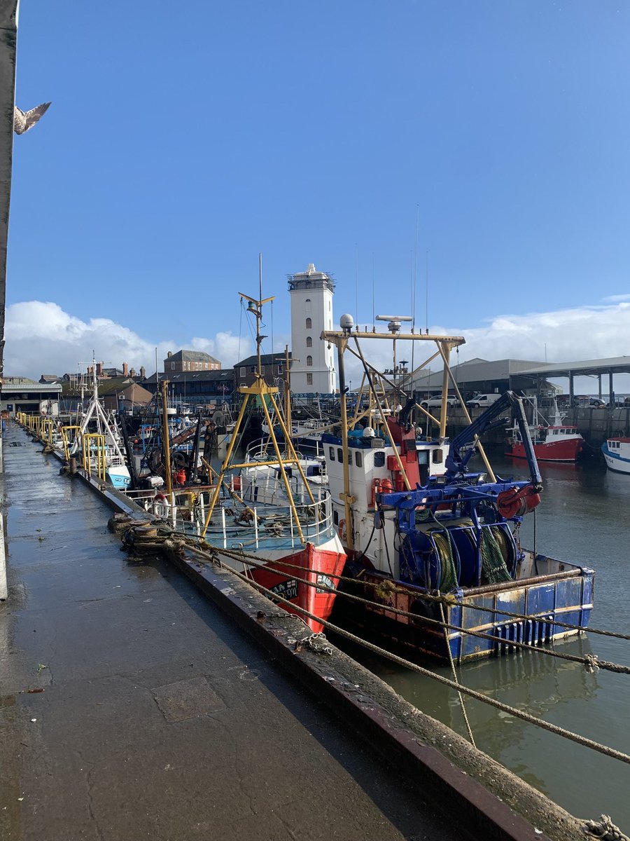 Building Self-Belief tweet media