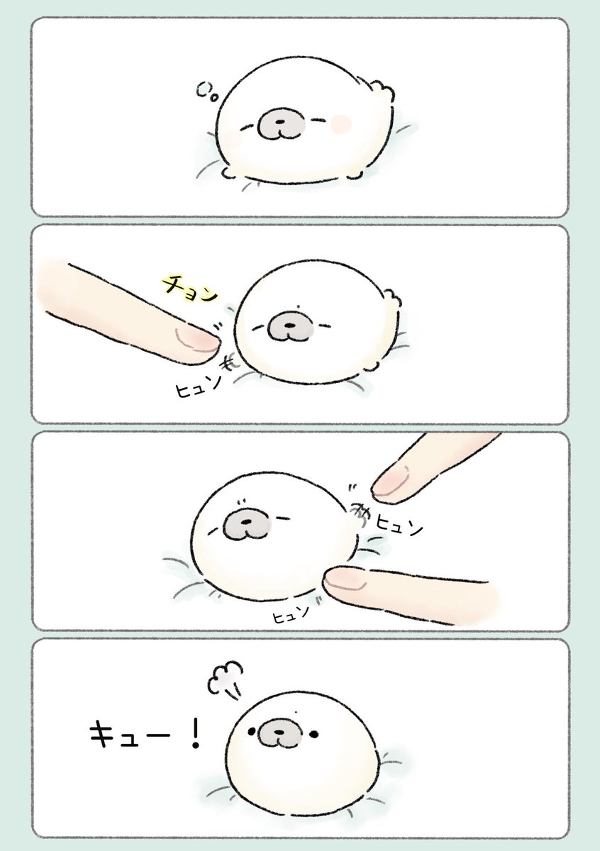 完全な丸 