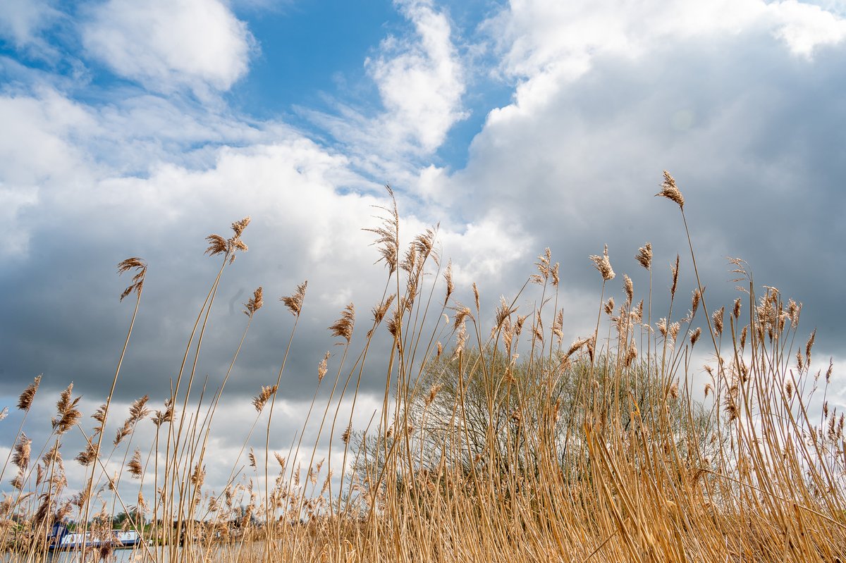 John Challis (@johnchallis27) on Twitter photo Fenland reeds and sky on the Great Ouse River at Stretham this morning.......<a href="/ChrisPage90/">Chris Page - Weatherman</a> <a href="/WeatherAisling/">Aisling Creevey</a> <a href="/itvweather/">ITV Weather</a> <a href="/FascinatingFens/">Fascinating Fens</a> <a href="/Fen_SCENE/">Fen Scene Magazine</a> Fenland reeds and sky on the Great Ouse River at Stretham this morning.......<a href="/ChrisPage90/">Chris Page - Weatherman</a> <a href="/WeatherAisling/">Aisling Creevey</a> <a href="/itvweather/">ITV Weather</a> <a href="/FascinatingFens/">Fascinating Fens</a> <a href="/Fen_SCENE/">Fen Scene Magazine</a>