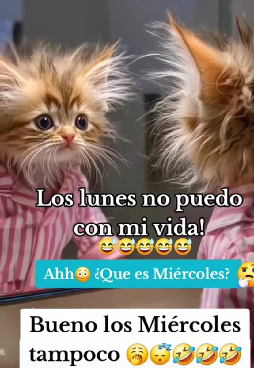 #26marzo 
Buenos días....