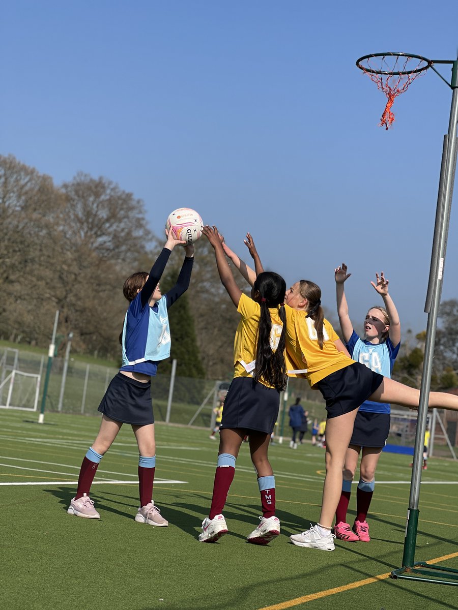 Tockington Manor School and Nursery tweet media