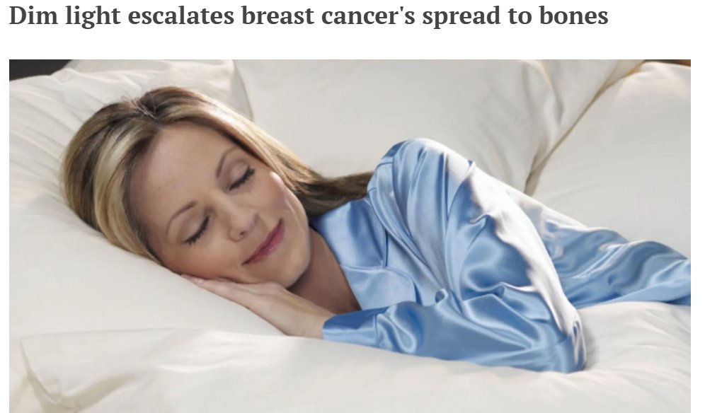 ⚡️ The Blue Light Diet ⚡️ tweet media