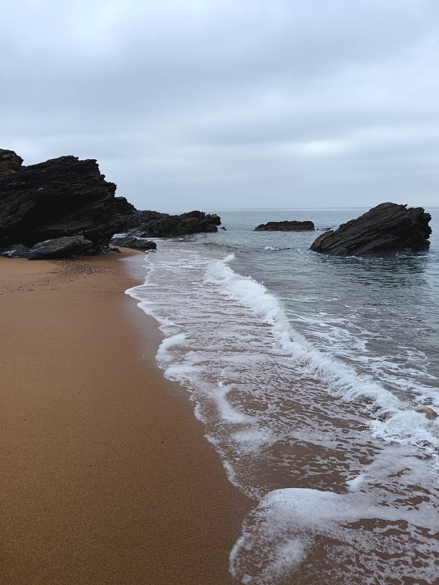 Très sableux l'etude de sol aujourd'hui 🌊