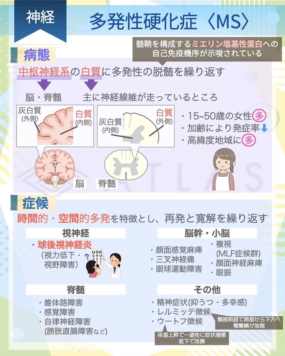 多発性硬化症〈MS〉を一枚の画像にまとめてみました！ 
毎週画像で分かりやすく解説もしているので、是非フォローしてみてください！ 
また、もっと詳しく知りたい方はフル動画も見てみてくださいね！