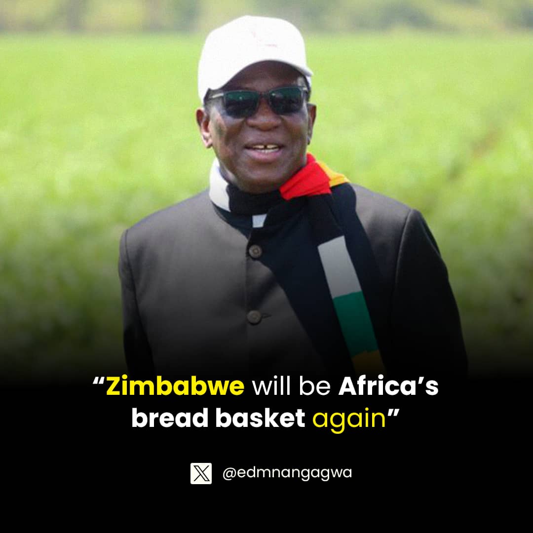 We are on track to realize Vision 2030, thanks to our effective leadership