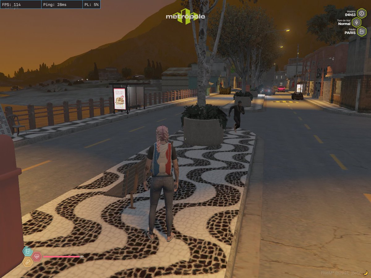 Aline 🇨🇦 tweet media