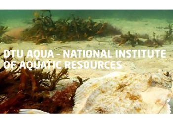 ecotiparcticEU's tweet image. Are you interested in Arctic oceanography and climate change, with a fondness for the microscopic organisms (plankton) in the ocean? Check out this PhD position in Arctic plankton at DTU-Aqua : ow.ly/Sq4v50VoH06 #polarbluecarbon @DTUtweet