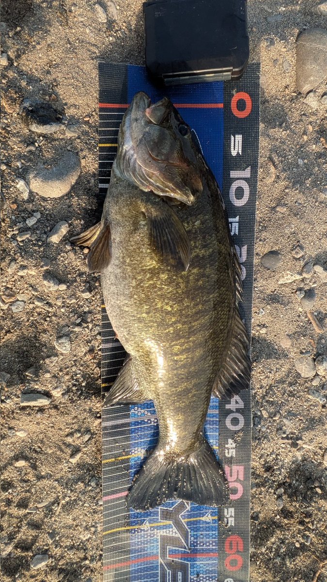 まっちんくん2 (@2lHagkUV7YXJL6Y) / Posts / X