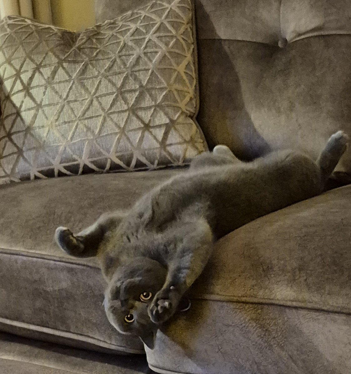 Happy 1st Birthday Freya! 🎉🎊🎁🎂🎈