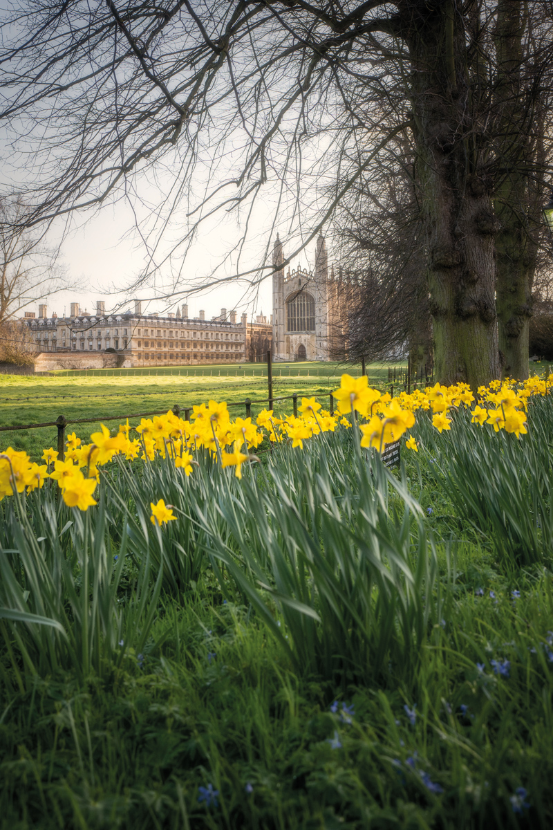 A Cambridge Diary tweet media