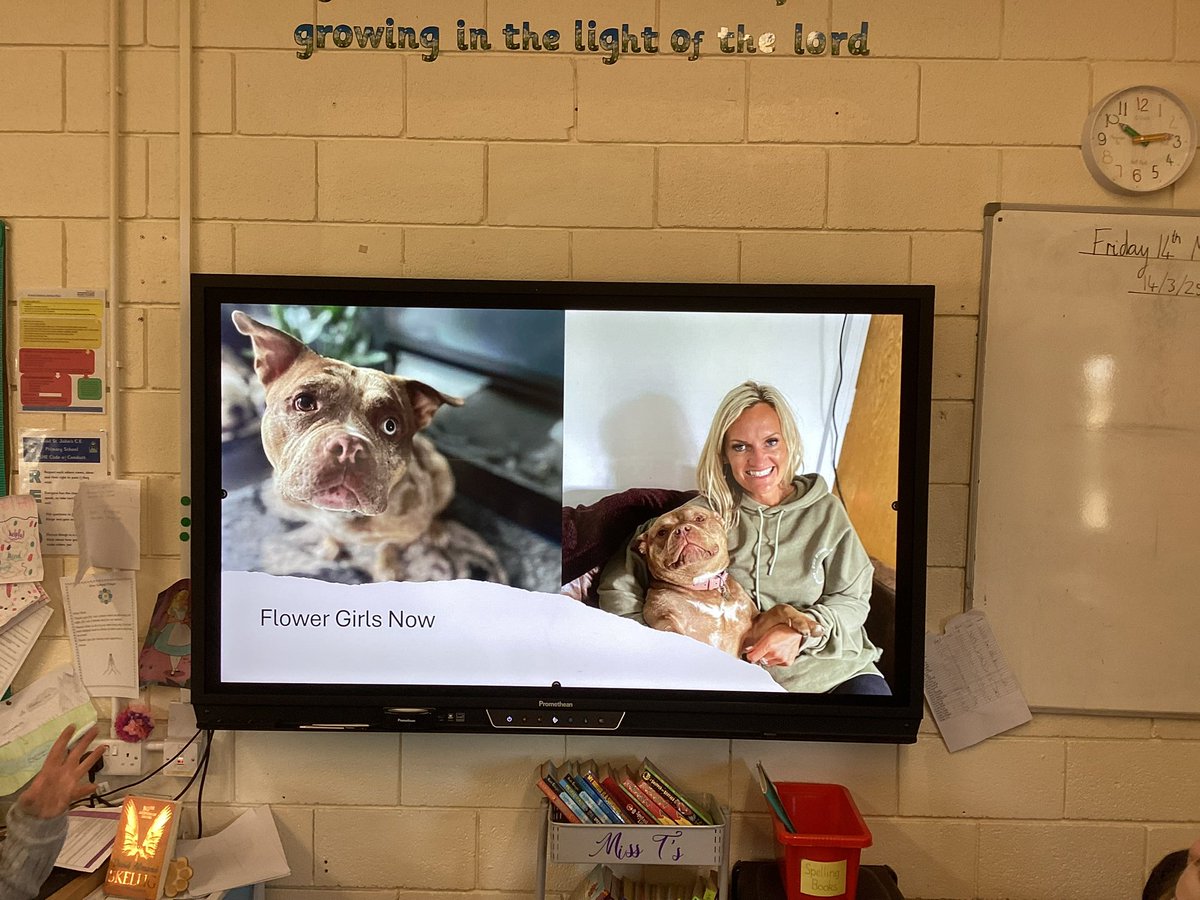 Read St Johns Primary School tweet media