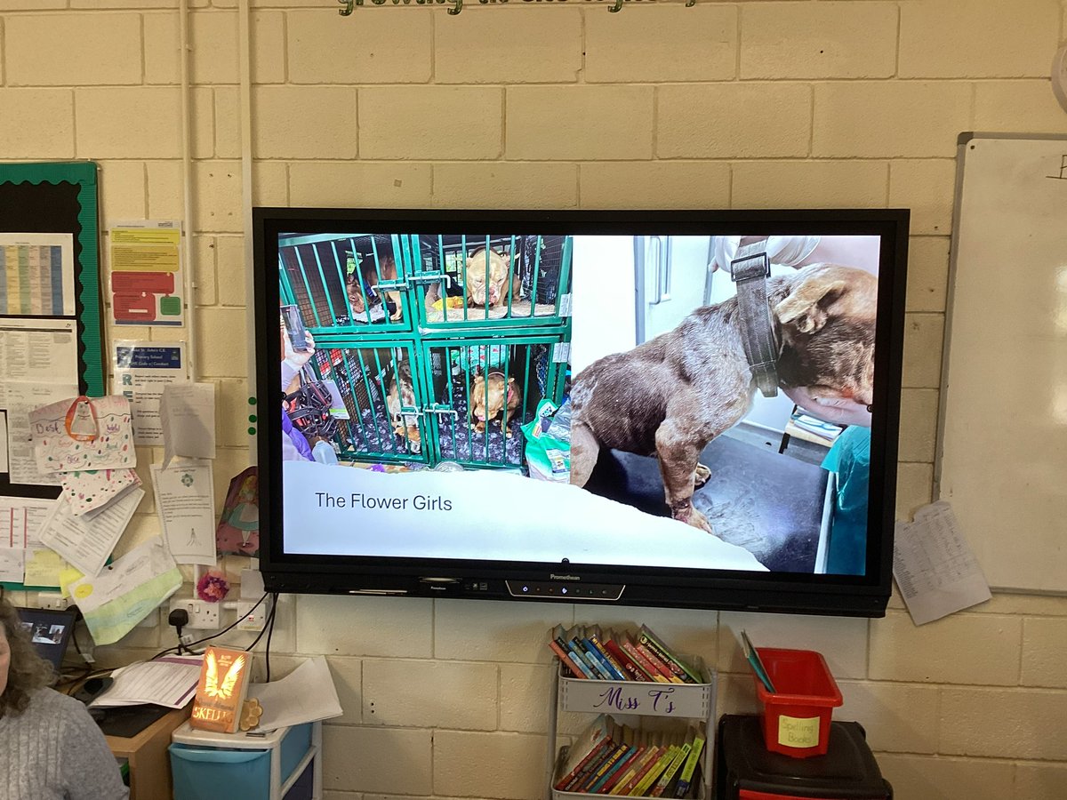 Read St Johns Primary School tweet media