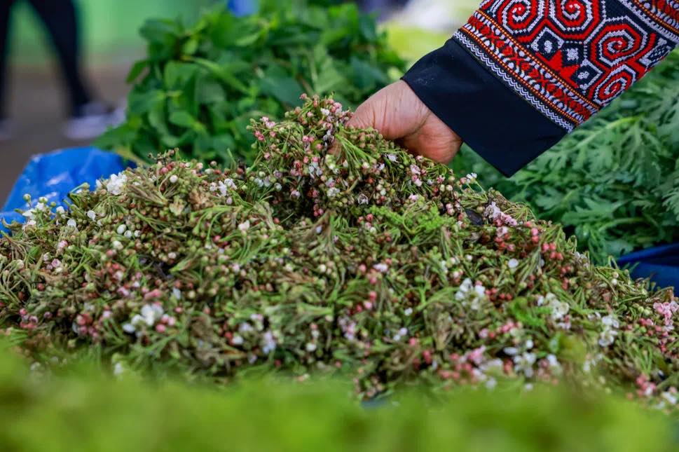 Amazing_Yunnan's tweet image. 📷📷 In Yunnan, "Eating Flowers" Is a Long-Held Tradition 📷📷
Yunnan's spring table is a feast of flowers and wild greens! 📷📷

#EdibleFlowers #SpringOnAPlate #YunnanCuisine #FloralFeast #WildGreens