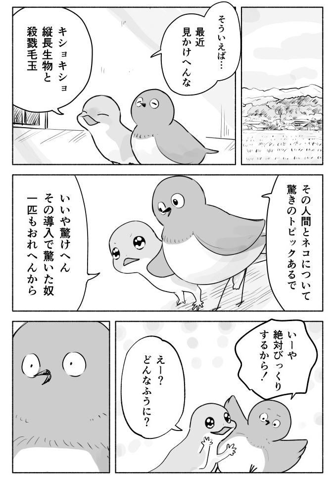 紫音🌿🍆 (@silversyokora) / X 紫音🌿🍆 (@silversyokora) / X