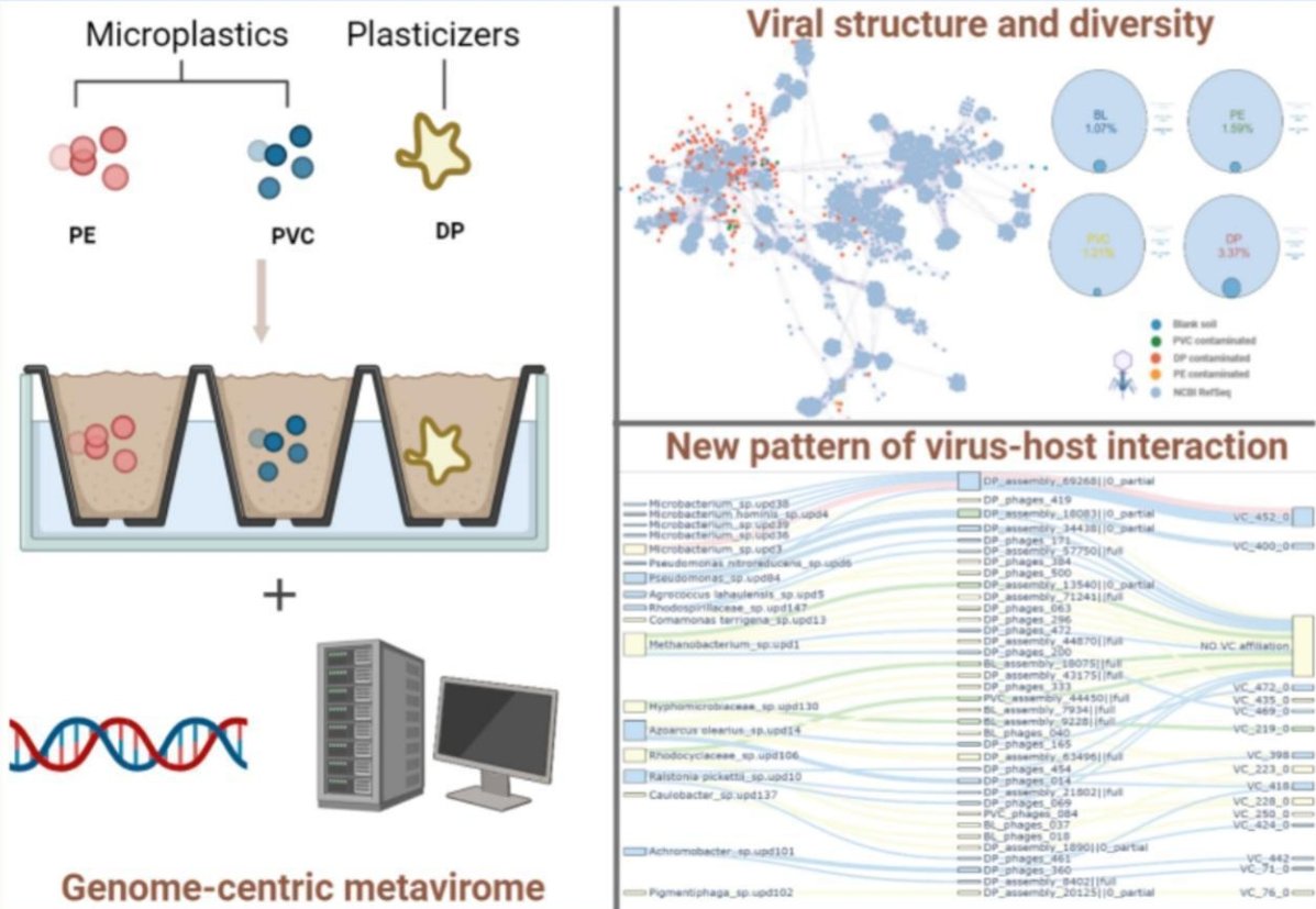 stefano campanaro (@campanarostef) on Twitter photo π¨ New paper alert! <a href="/MengyuanJi/">Mengyuan Ji</a> explored how #plasticizers impact the soil #virome β exposure to diethyl #phthalate triggers virus-host interactions. Fascinating insights into microbe-virus dynamics! <a href="/DiBio_UniPD/">Department of Biology β University of Padova</a> <a href="/LauraTreu/">Laura Treu</a> sciencedirect.com/science/articlβ¦ π¨ New paper alert! <a href="/MengyuanJi/">Mengyuan Ji</a> explored how #plasticizers impact the soil #virome β exposure to diethyl #phthalate triggers virus-host interactions. Fascinating insights into microbe-virus dynamics! <a href="/DiBio_UniPD/">Department of Biology β University of Padova</a> <a href="/LauraTreu/">Laura Treu</a> sciencedirect.com/science/articlβ¦