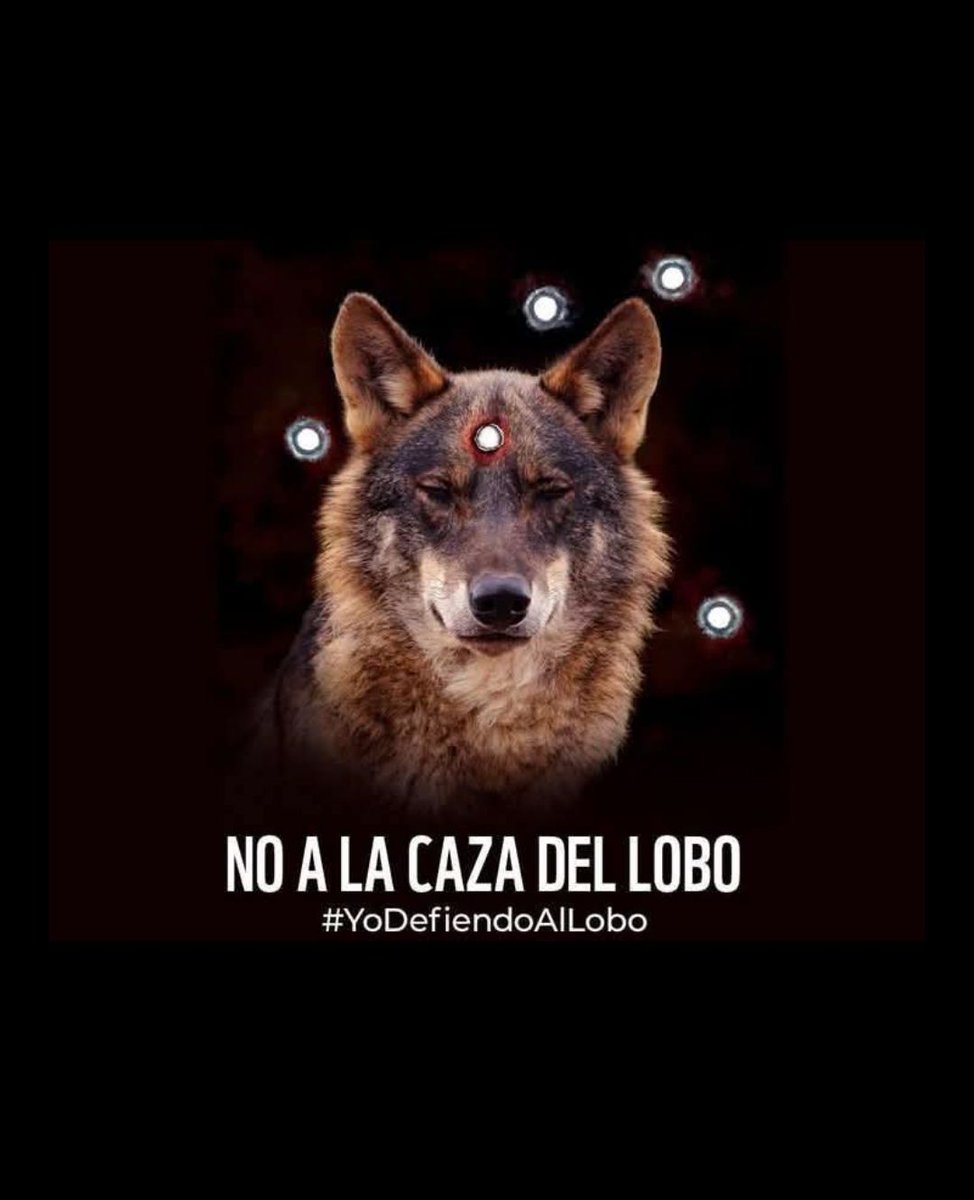 Postea si estás de acuerdo.
