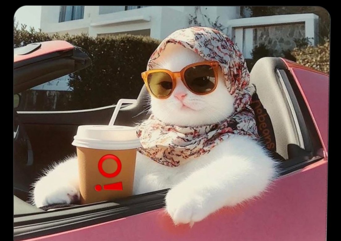 aleynaokurrr's tweet photo. Mekândayız Aşkooo

📍Espresso Lab https://t.co/VMUOtJhHo0