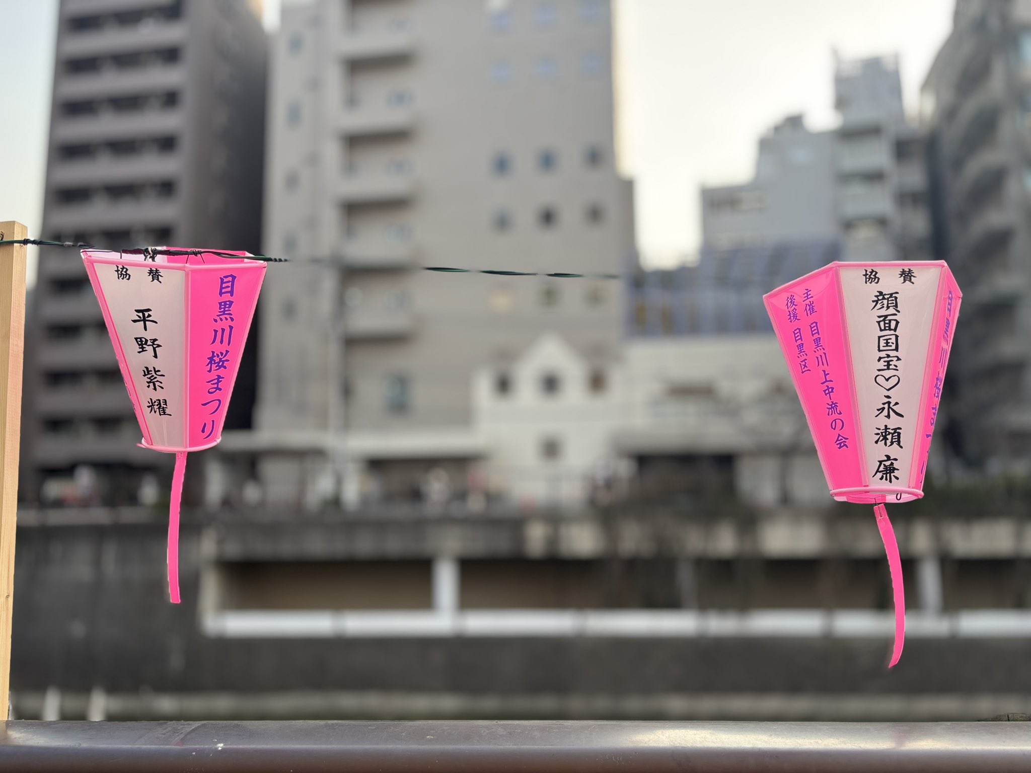 まゆ on X: 