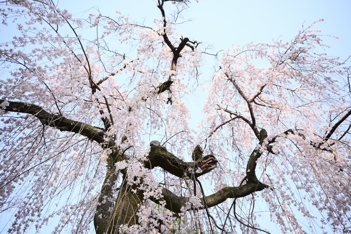 PhotoOrdinary's tweet photo. #photography https://t.co/lJSecXBbQj
