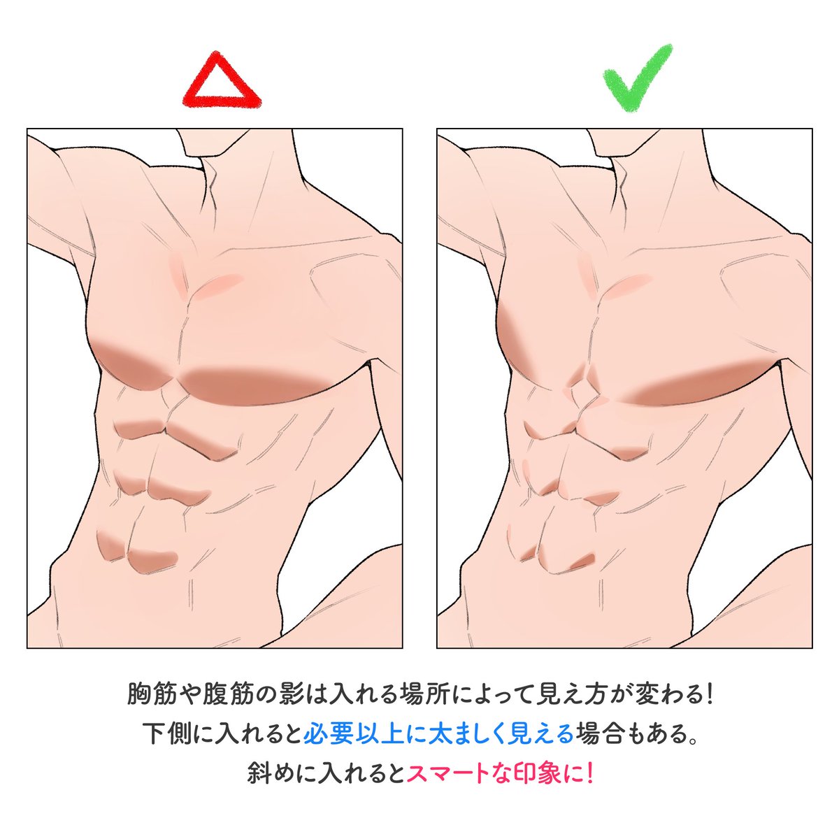 スマートな筋肉の描き方のコツ💡

#イラストアカデミア
