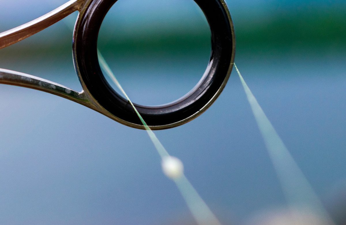 Welche Angelschnur für welchen Fisch?

simfisch.de/welche-schnur-…

#Angelschnur #Angeln #Anglerbedarf #fishingline #fishinggear #anglerlife