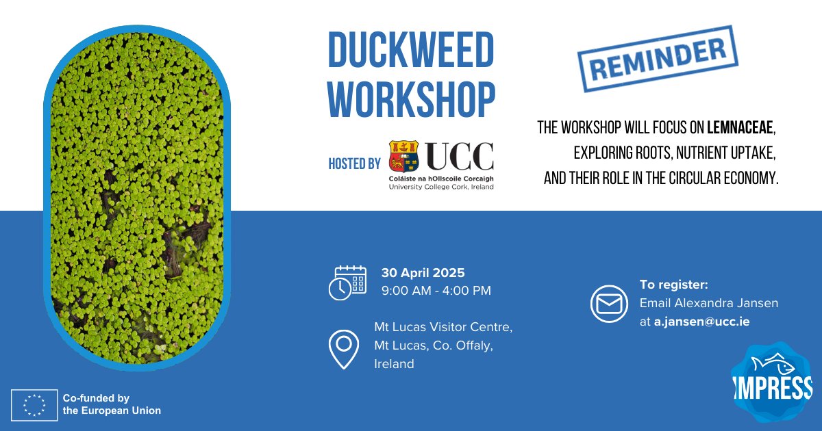 IMPRESS_EU's tweet image. ⌛️Remember to register for the #duckweed #workshop hosted by @UCC on 30 April 2025, which will explore its roots, nutrient uptake, and role in the #CircularEconomy.

⚠️Only 30 spots available - Hurry up!

🤝Supported by DAFM, FWO, and ΙMPRESS.

#HorizonEU #ResearchImpactEU