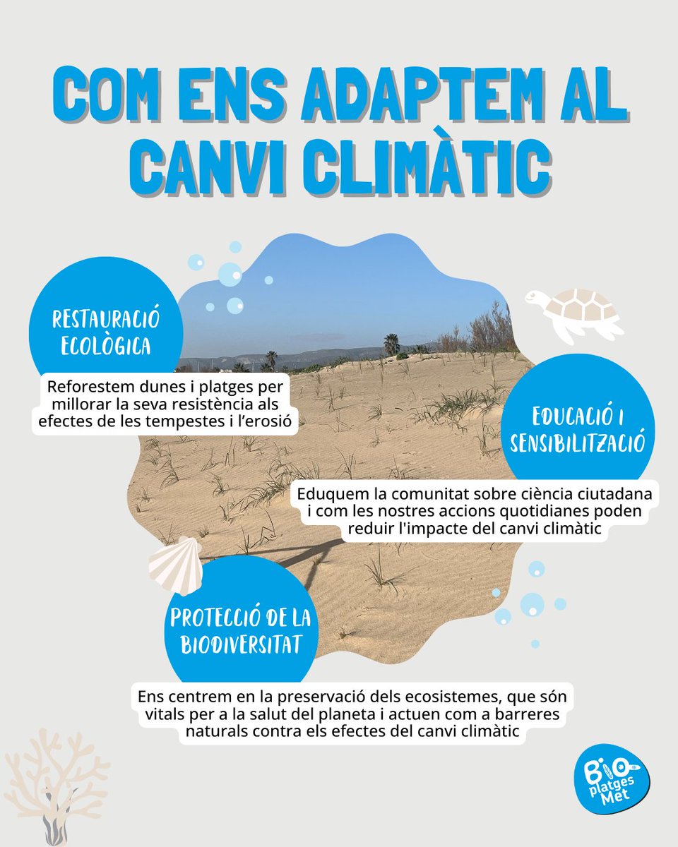 🌱🌍 Avui celebrem el Dia Mundial del #Clima, una jornada per reflexionar sobre els efectes del #CanviClimàtic i les solucions d'adaptació que podem implementar.

Des de #BioPlatgesMet, estem treballant per protegir les nostres platges i #ecosistemes costaners.