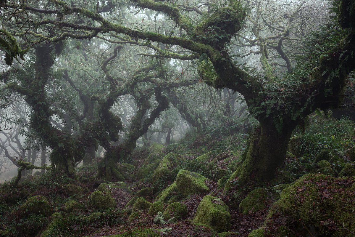 The beauty of imperfection