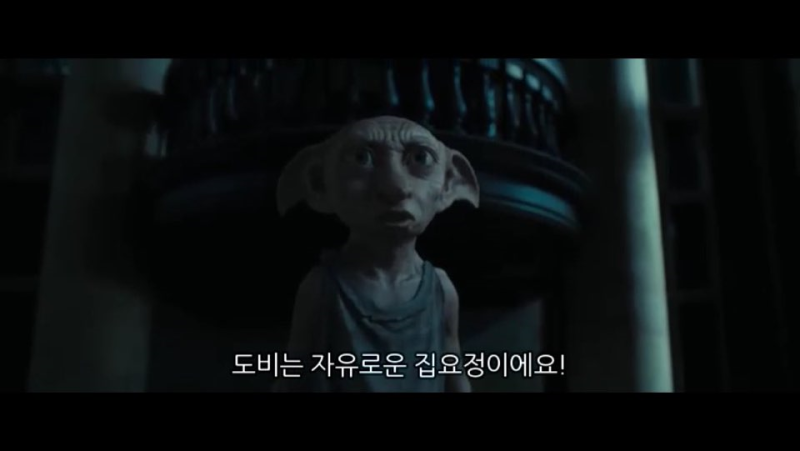 집에만 있어야지~