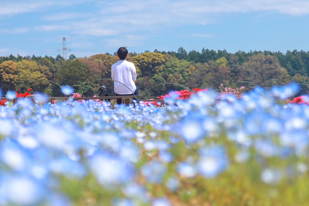 Fu_photograph's tweet photo. #知名度を上げたいので拡散してください 

見ていただけると嬉しいです✨ https://t.co/PjxJqbRYzk