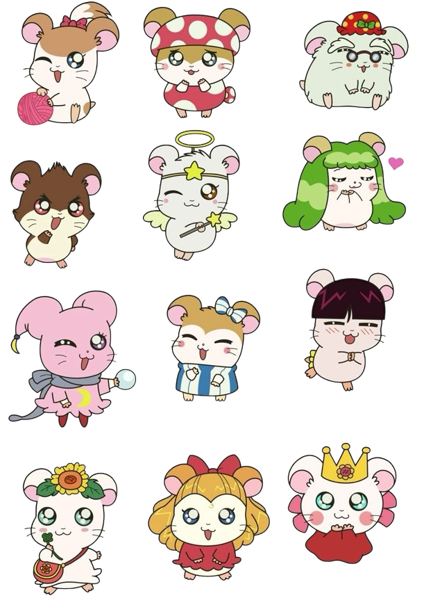 8_rivi's tweet photo. 写真加工に使う子たち🐹🎀 https://t.co/gx8Nhd2Zjf