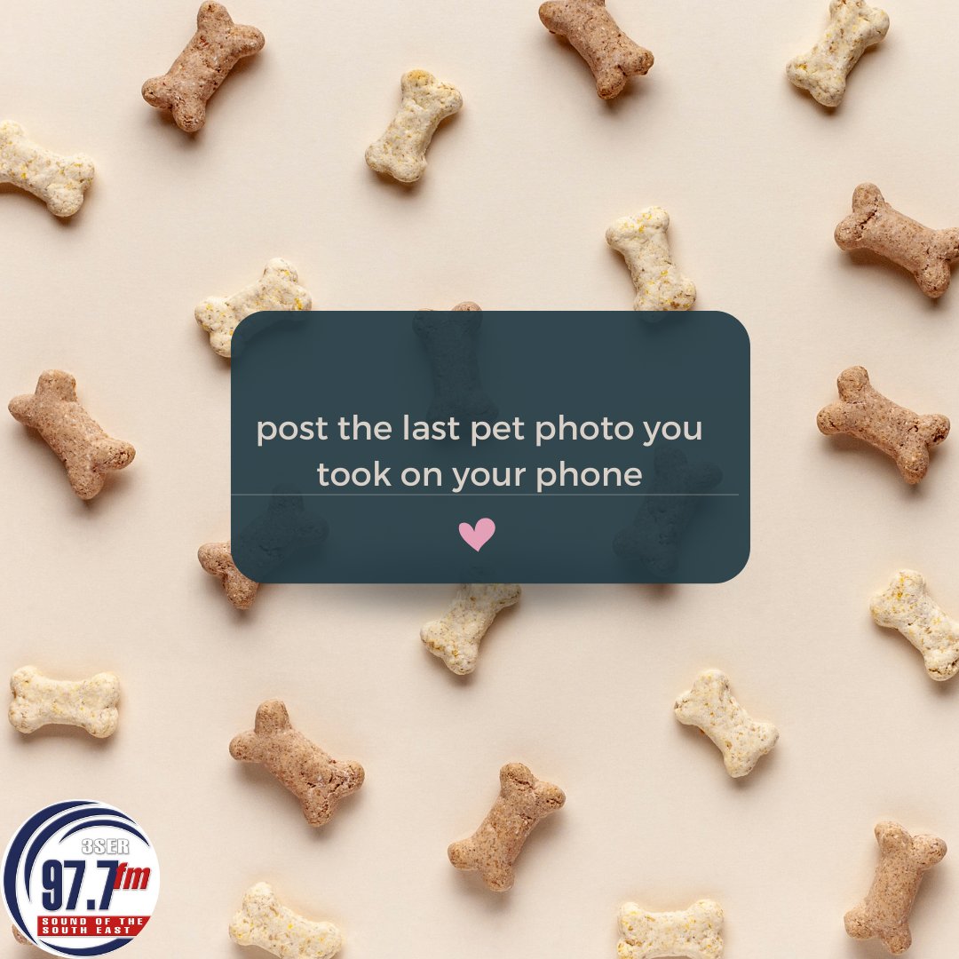 show us the last pic you took of your fur babies! 🐾💞 #CaseyRadio977
#CommunityRadio
#Community
