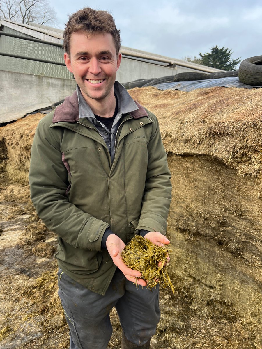 Niall Tewson has turned Crokers Grange Farm into a thriving Jersey dairy, focusing on sustainability &amp; direct sales! With Oliver Seeds &amp; NB Pitts, he’s reseeded with MegaBite for drought resilience &amp; top milk yields.

Read more: oliver-seeds.co.uk/about-us/news-…