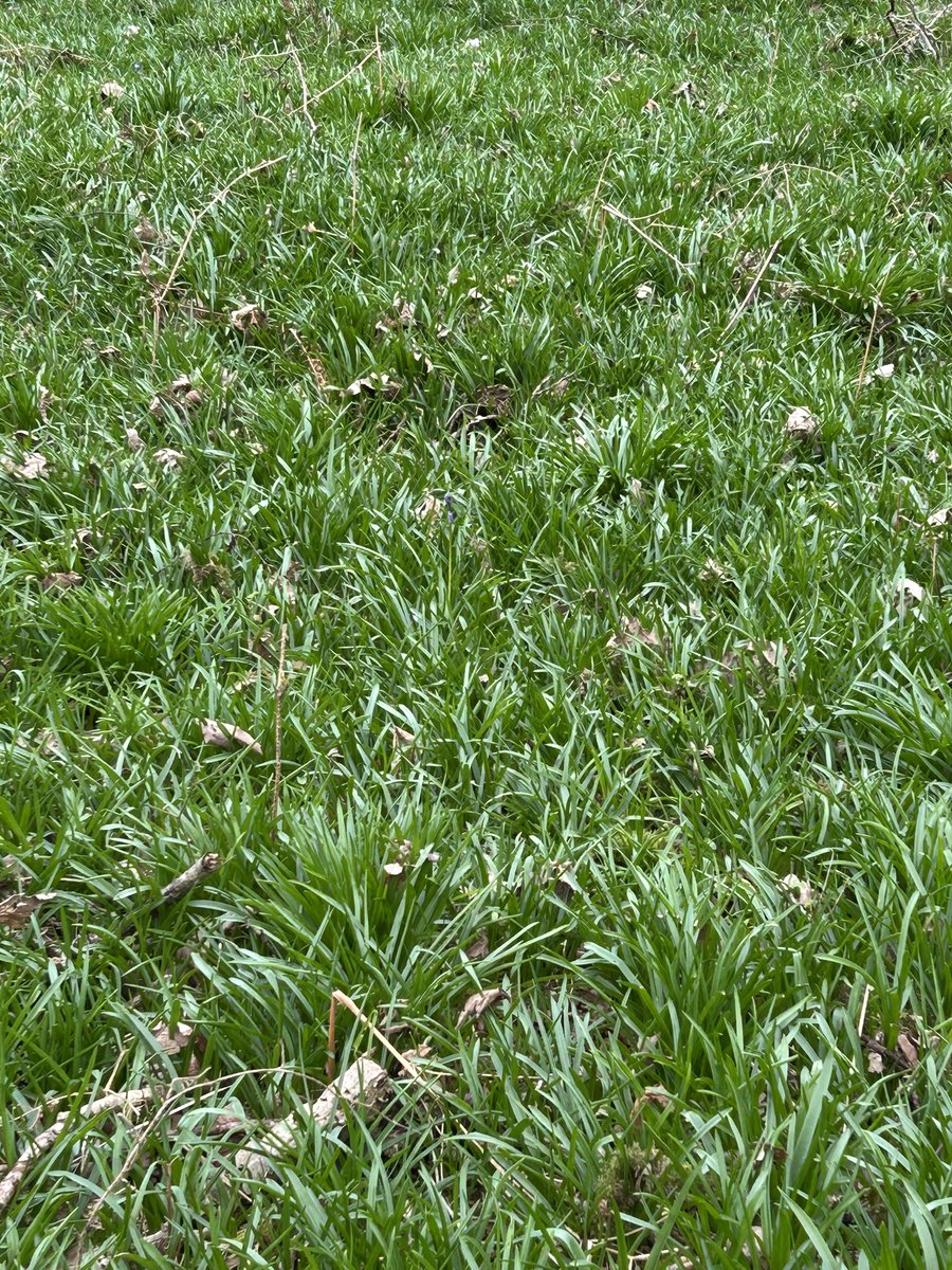 Will Case tweet media