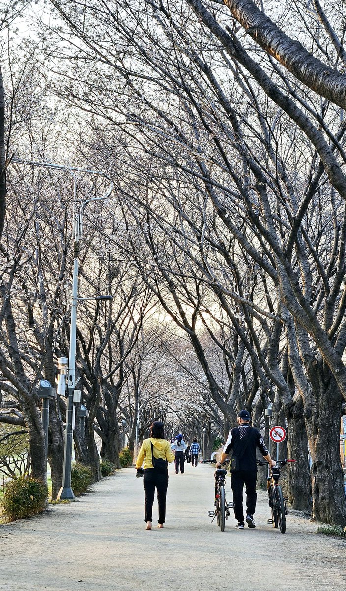 한겨울 tweet media