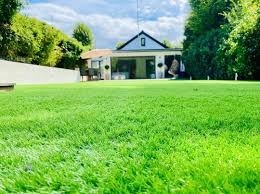 strongbridge235's tweet photo. "🌿✨ Transform your lawn with expert care! Mowing, edging, fertilizing &amp; more. keeping your garden green &amp; pristine. 📍 Serving Your Area.   #outdoor  #landscape  #lawn  #garden https://t.co/akA04lxKdc