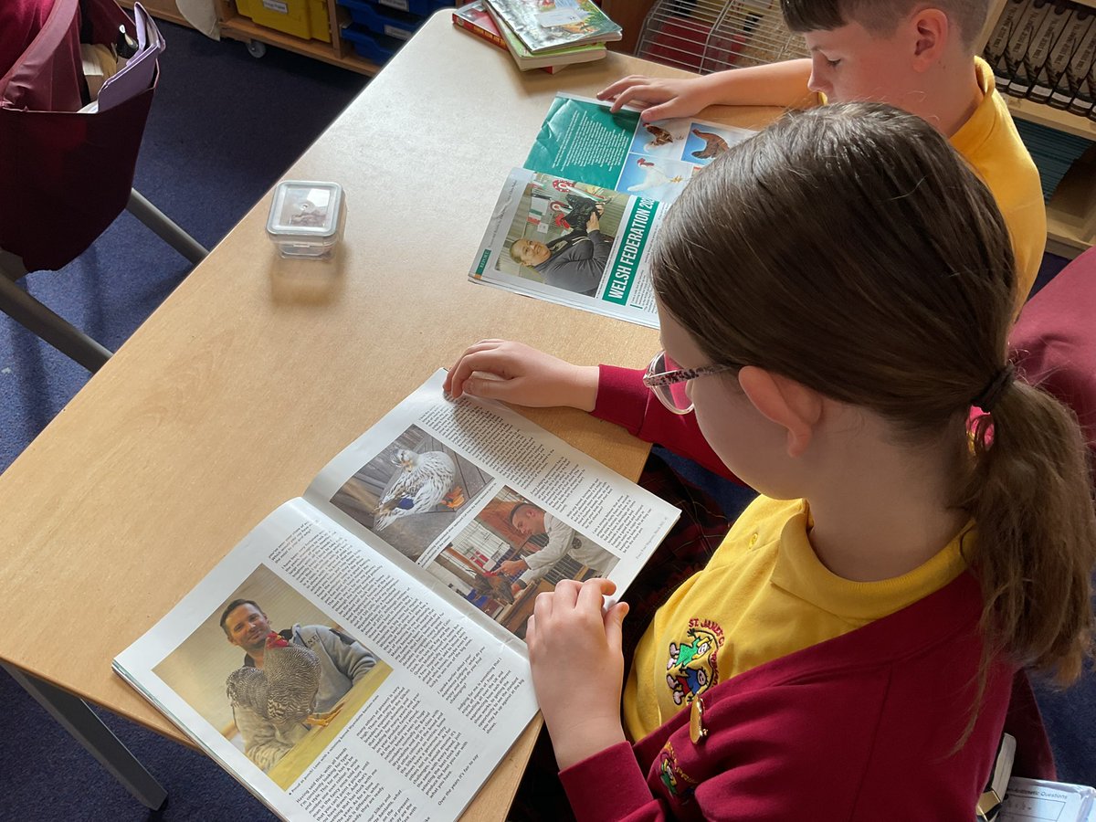 MrCStJames's tweet photo. We have gone chicken mad today in @StJamesYear6 @StJamesChorley
Our chicks are hatched and the children are learning about one of the best hobbies π
@jed_dwight #fancyfowl #poultry https://t.co/g1gJJenqwo
