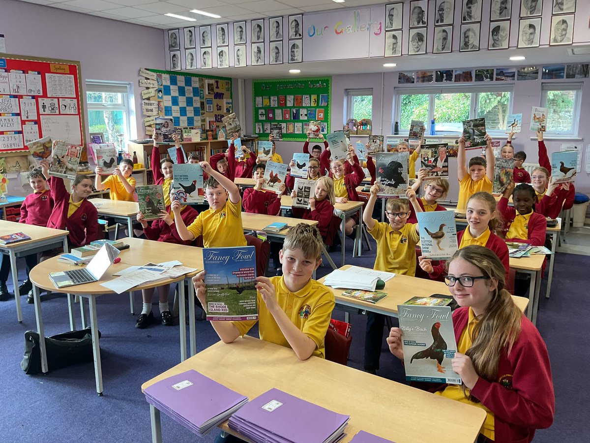 MrCStJames's tweet photo. We have gone chicken mad today in @StJamesYear6 @StJamesChorley
Our chicks are hatched and the children are learning about one of the best hobbies π
@jed_dwight #fancyfowl #poultry https://t.co/g1gJJenqwo