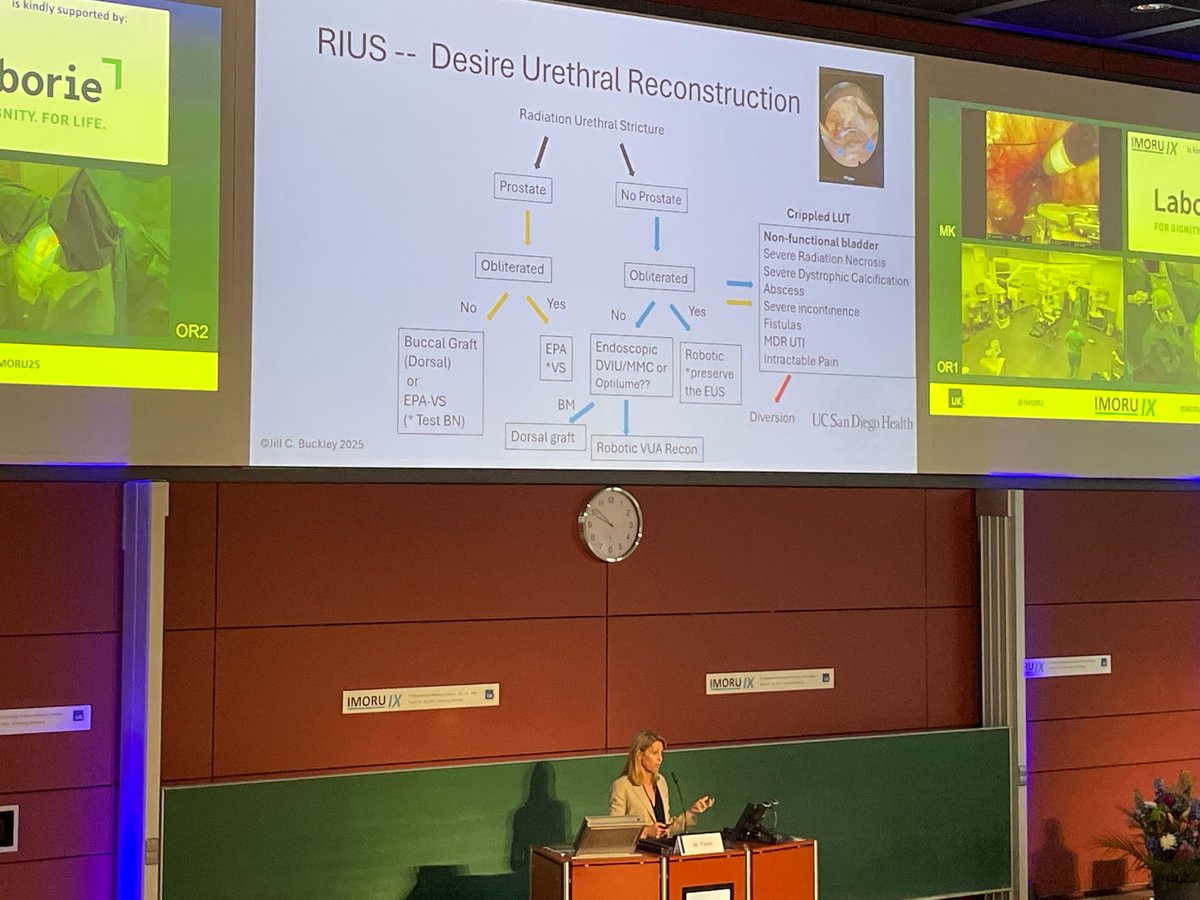 IMORU IX (@imoru) on Twitter photo Welcoming the reconstructive urology community to Hamburg! Prof. Margit Fisch kicks off IMORU IX <a href="/UKEHamburg/">UKE Hamburg</a> with live and semi-live surgeries on genitourinary complications. <a href="/JillC_Buckley/">Jill C. Buckley</a> presents a sophisticated algorithm for managing radiogenic strictures & stenoses. #IMORU Welcoming the reconstructive urology community to Hamburg! Prof. Margit Fisch kicks off IMORU IX <a href="/UKEHamburg/">UKE Hamburg</a> with live and semi-live surgeries on genitourinary complications. <a href="/JillC_Buckley/">Jill C. Buckley</a> presents a sophisticated algorithm for managing radiogenic strictures & stenoses. #IMORU