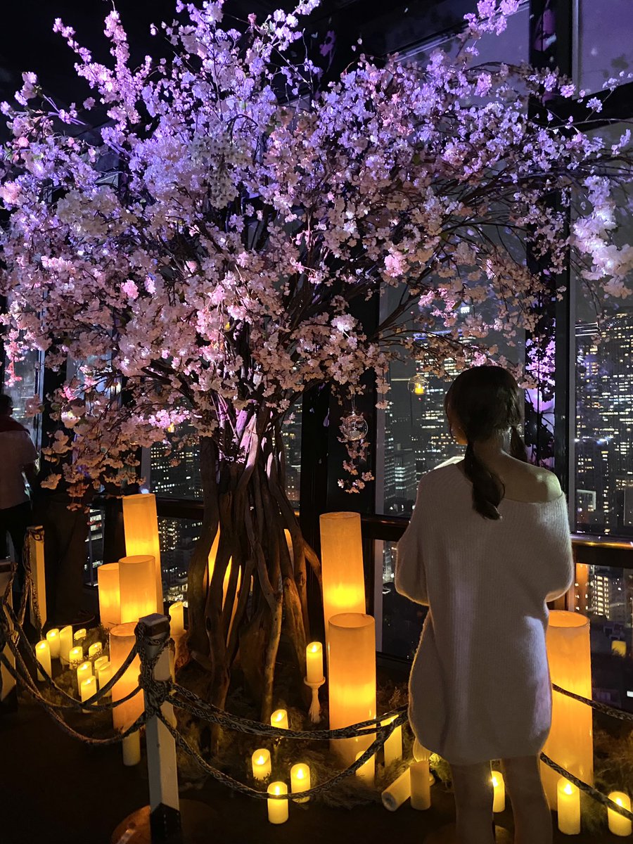 _o3saku's tweet photo. ピンクの東京タワー🩷🗼 https://t.co/VTyEUtp28G