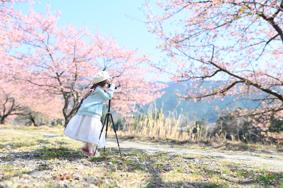 ひまり『しゃくら〜しゃくら〜なんな🎶』
ひまりちゃんが一生懸命に桜🌸撮影しててめちゃくちゃ可愛い〜☺️
お出掛け楽しそうで良かったな😊