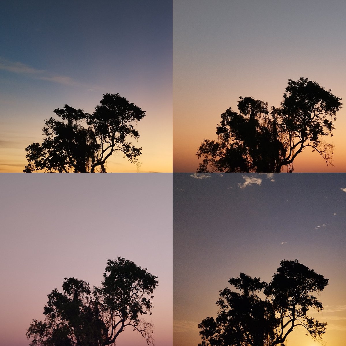 srishtiest's tweet image. same place different emotions.