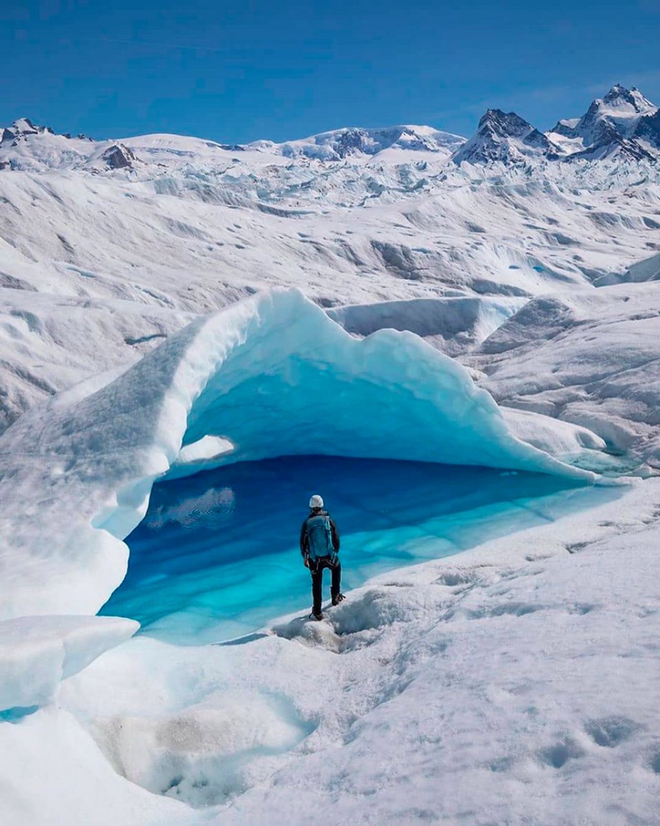 Fede Sturzenegger tweet media