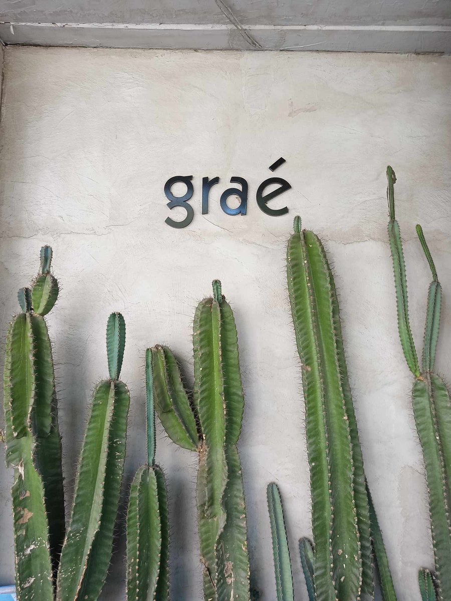 carinfranz's tweet photo. Proof of life🌵
It’s been a while ‘X’ I used to know you as Twitter #CDO https://t.co/fTZ25ayzOK
