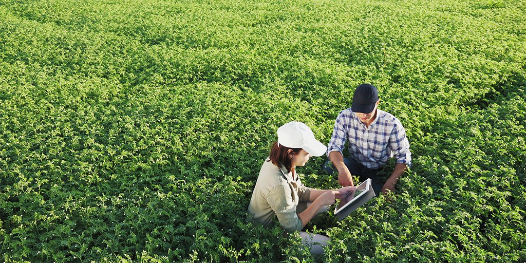 ANR - Agence nationale de la recherche (@agencerecherche) on Twitter photo La 4e édition de l’appel à projets #Ecophyto Maturation, opéré par l’ANR et cofinancé par l’ <a href="/OFBiodiversite/">Office français de la biodiversité</a>, visant à promouvoir l’émergence de solutions innovantes pour réduire l’usage et l’impact des produits phytosanitaires, est ouvert
🗓️ Jusqu’au 7/05
anr.fr/fr/detail/call… La 4e édition de l’appel à projets #Ecophyto Maturation, opéré par l’ANR et cofinancé par l’ <a href="/OFBiodiversite/">Office français de la biodiversité</a>, visant à promouvoir l’émergence de solutions innovantes pour réduire l’usage et l’impact des produits phytosanitaires, est ouvert
🗓️ Jusqu’au 7/05
anr.fr/fr/detail/call…