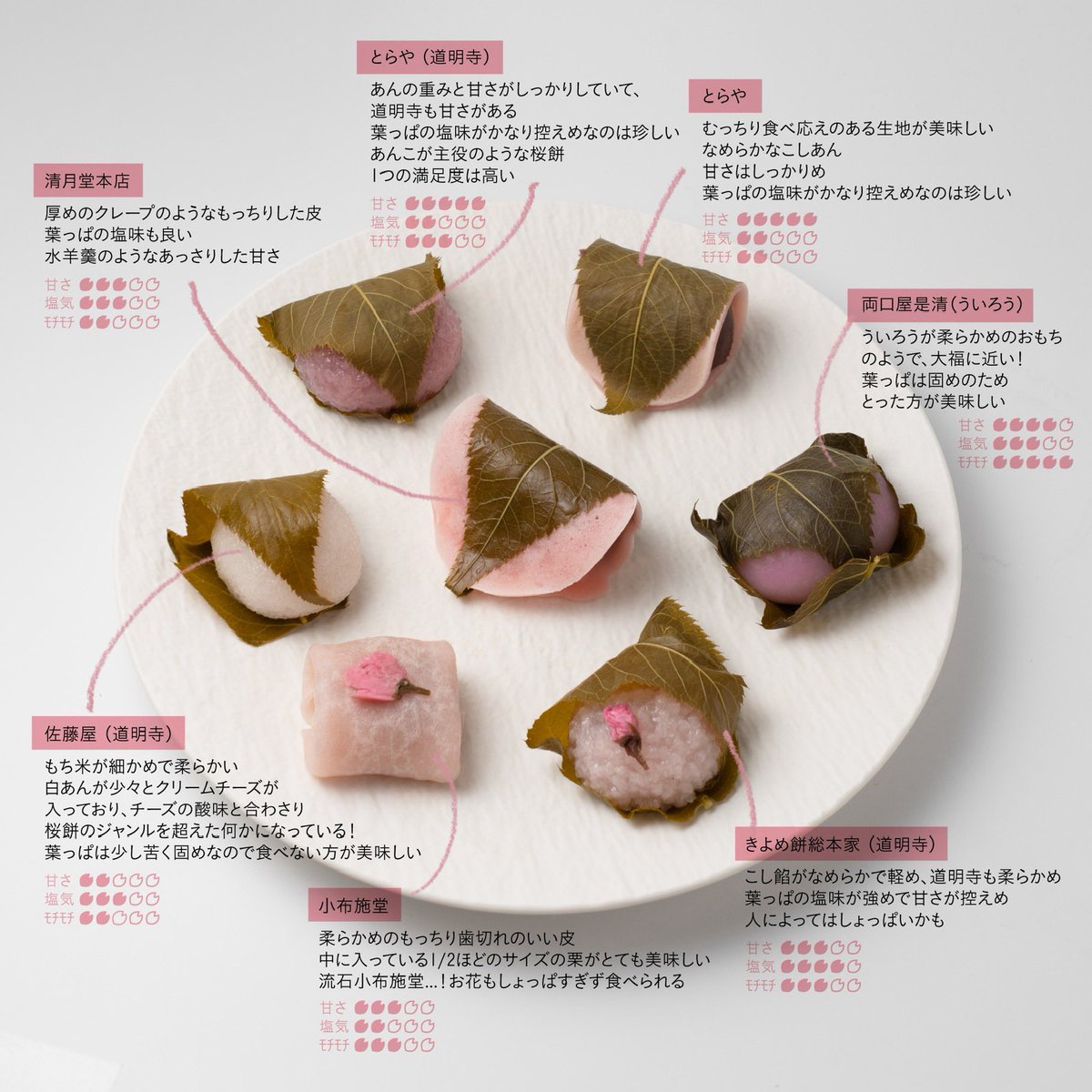 菅瀬晶子/Akiko Sugase on X: 