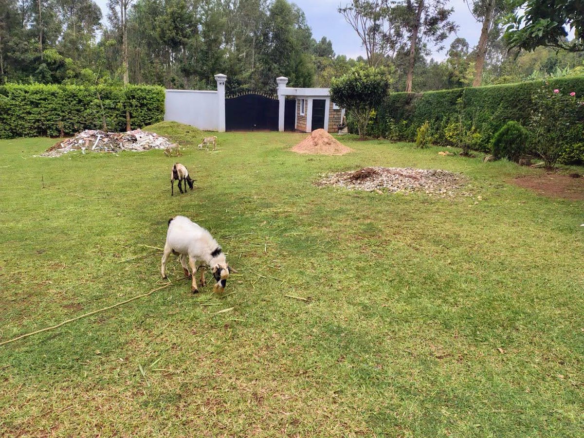 East, West Home remains the Best  place on earth to wind up......... village life.